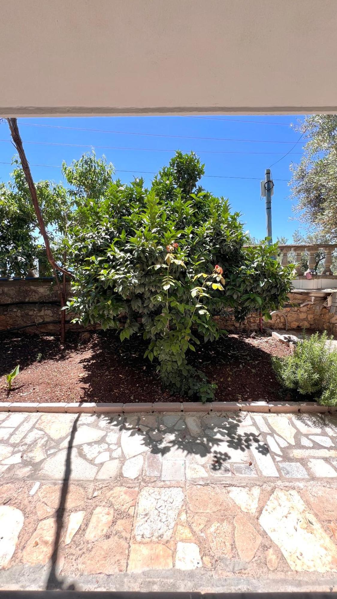 Petra Oliva Apartment Dhërmi Buitenkant foto